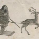 Aino avec bâton tiré par un renne