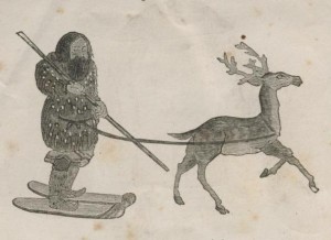 Aino avec bâton tiré par un renne
