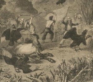Chasse au condor 1857