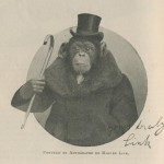 Le chimpanzé Master Link en 1909