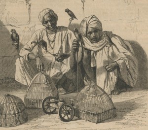 Marchands d'oiseaux hindous en 1860
