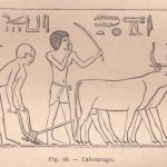 Bâton de bouvier lors du labourage dans l'ancienne Egypte