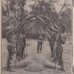Voûte de boomerangs chez les Aruntas d'Australie 1907