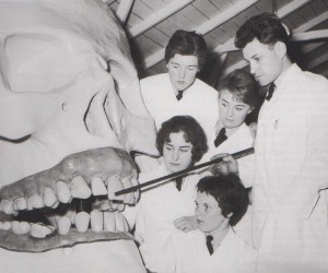 Examen dentaire à la Royal Air Force en 1960